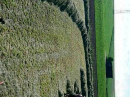 Bild 2:Heu - kleine Ballen