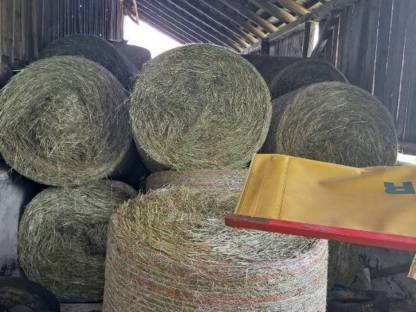 Bild 8:Heuballen günstig