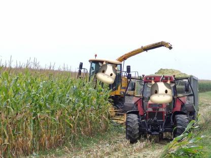 Bild 5:Häcksler New Holland FX40