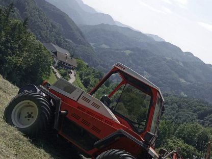 Bild 3:Landwirtschaftliche Maschinen zu verkaufen