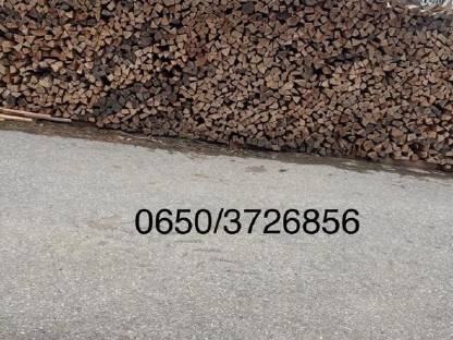 Buchen Brennholz