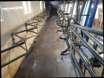 Bild 2:De Laval Melkstand, Bj. 2015