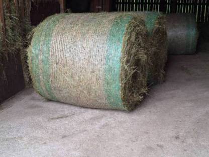Bio Rundballen 2. Schnitt 2024