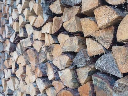 Brennholz
