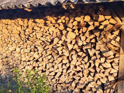 Brennholz Esche