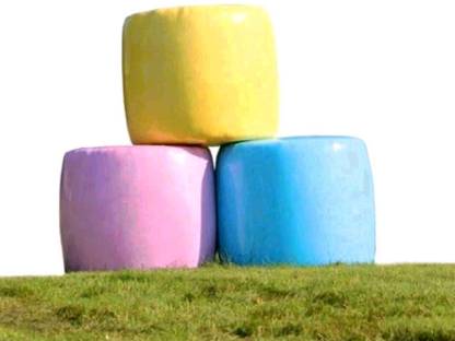 Bio-Maissilage