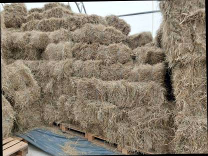 Bild 6:Heuballen