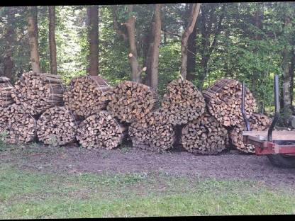 Brennholz