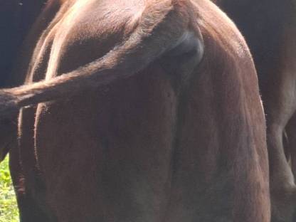 Bild 2:Bio Einsteller