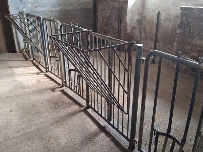 Aufstallung für Kälber
