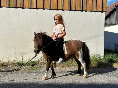 Ponywallach