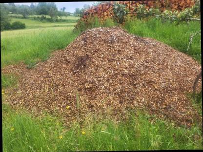 Hackschnitzel Rindenmulch