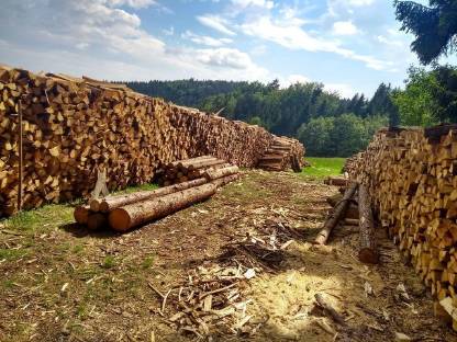 Brennholz hart oder weich