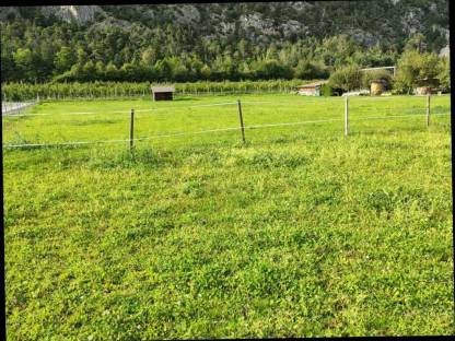 Bild 6:Einstellplatz im Offenstall Haiming