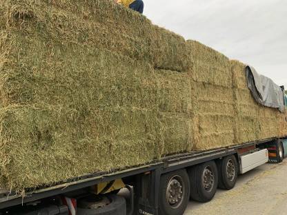 Bild 9:Luzernesilageballen