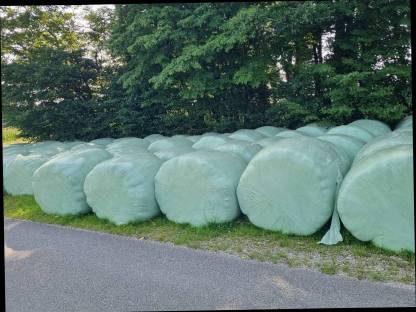 Silageballen