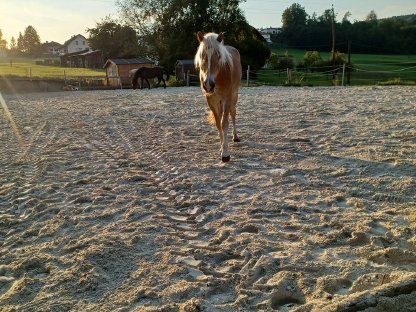 Bild 4:Einstellplatz zu vergeben