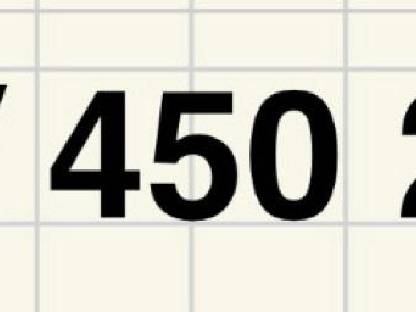 Bild 3:Erlus Reform XXL