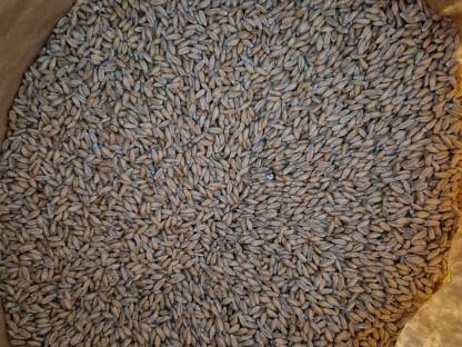 Bild 2:Bio Dinkel - ganzes Korn