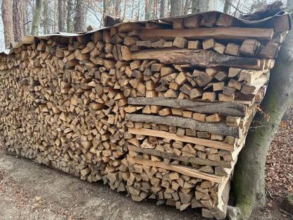 Bild 3:Brennholz