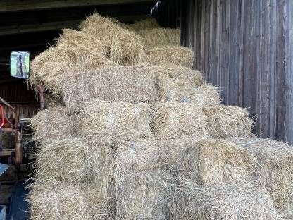 Bild 4:Heuballen und Strohballen