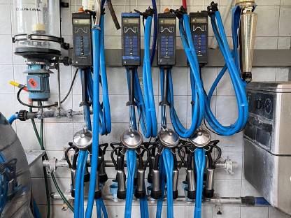 Rohrmelkanlage DeLaval