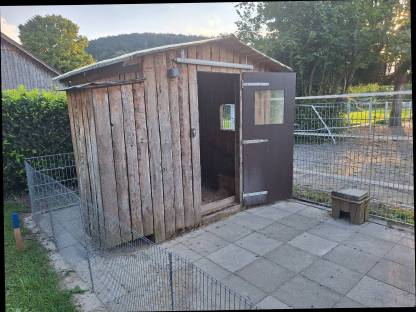 Hasenstall