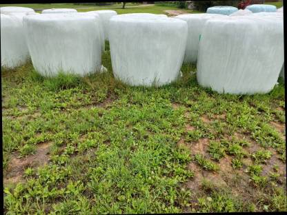 Silageballen