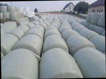 Bild 5:Silomaisballen 2025