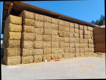 Bild 9:Stroh gehäckselt, geschnitten aus eigener Erzeugung