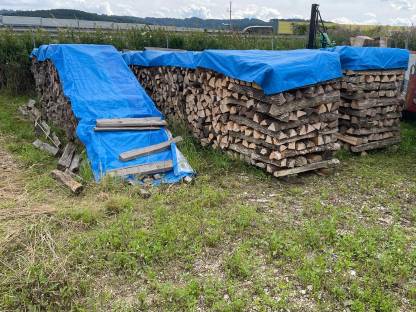 Bild 4:Brennholz