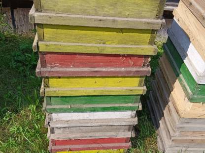 Bild 3:Verkaufe Bienenstöcke Bienenstock