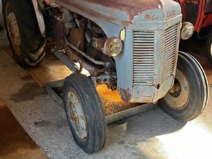 Bild 2:Massey Harris Ferguson TEK 20 Benziner