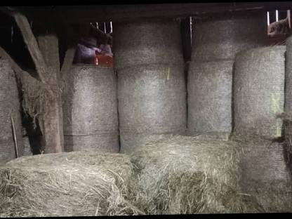 Bild 2:BIO-Heuballen