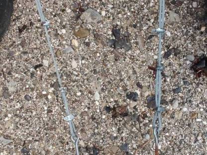 Bild 7:Traktoranhänger