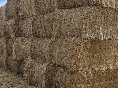 Bild 3:Stroh/Strohballen