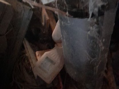 Bild 6:Aufstallung für Ferkel