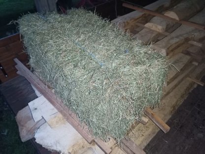 Bild 2:Heu, Grummet in Kleinballen, 2. Schnitt 2025