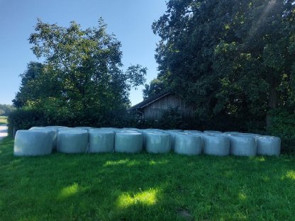 Siloballen Kleegras, 3 Schnitt 2025