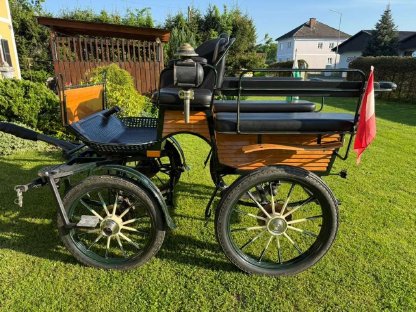 Bild 6:Kutsche - Wagonette - Pferdekutsche