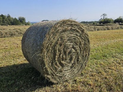 Bild 3:Heurundballen (Pferdeheu) und Streurundballen, BIO AUSTRIA