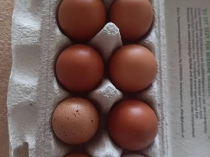 Bild 2:Verkauf frische Hühnereier