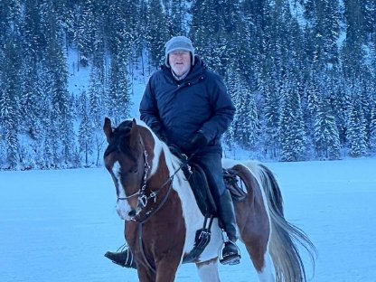 Bild 9:Fuchsscheck Hengstfohlen WH Aayan