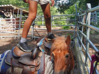 Bild 2:Zwei tolle Ponys