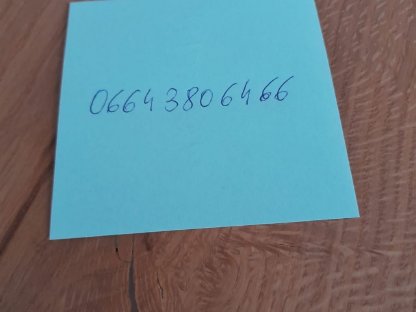 Bild 4:Noriker Stutfohlen