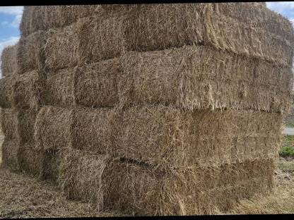 Bild 2:Stroh / Strohballen