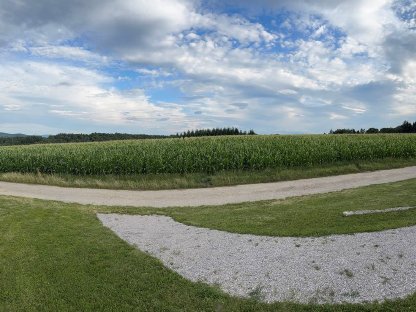 Bild 4:Acker inkl. Wald in Katastralgemeinde Großgraben