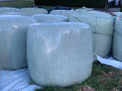 Silo Ballen erster Schnitt