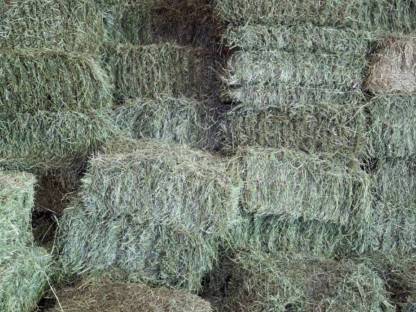 Bild 2:Heuballen, Grummetballen, Einmahdiges, Kleinballen, Bio