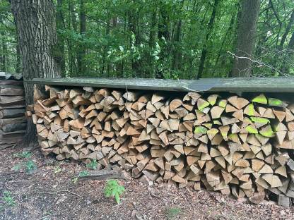 Brennholz